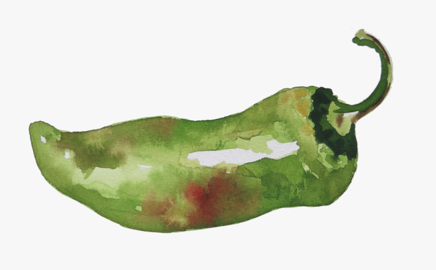 Watercolor By Charmaine Martinez - Habanero Chili, HD Png Download