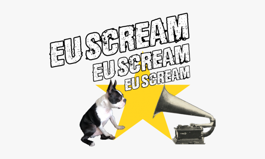 Subscribe Version No Background No Line - Boston Terrier, HD Png Download