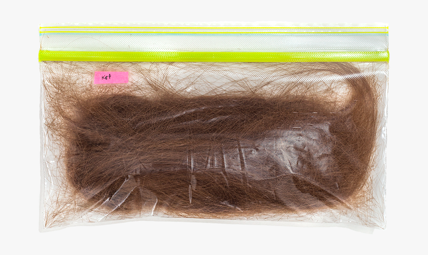 Lace Wig, HD Png Download