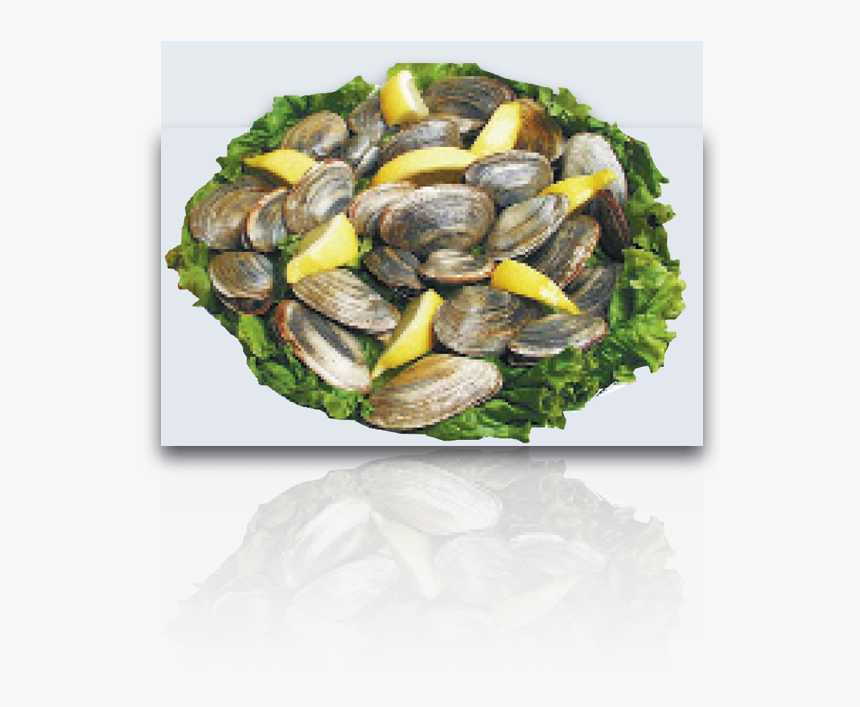 Steamed Clams - Mussel, HD Png Download