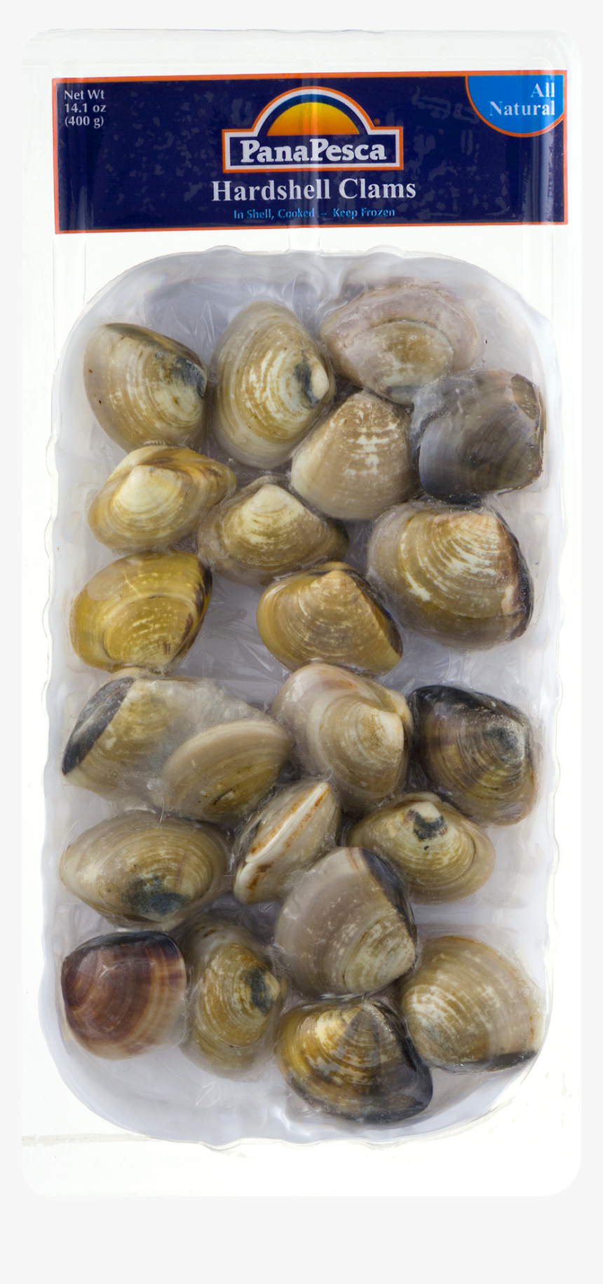 Nut, HD Png Download