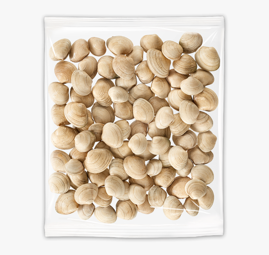 Clams - Wood, HD Png Download