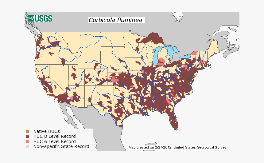 Habitat Of Zebra Mussels, HD Png Download