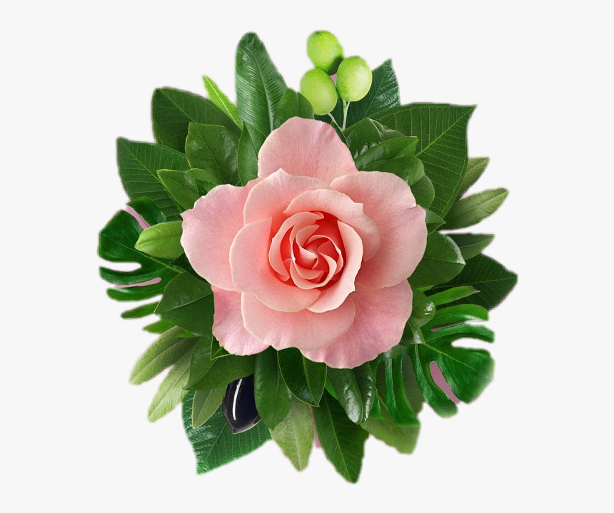 #flower #hawaii #summer #beach - Iphone X Pink Flower, HD Png Download