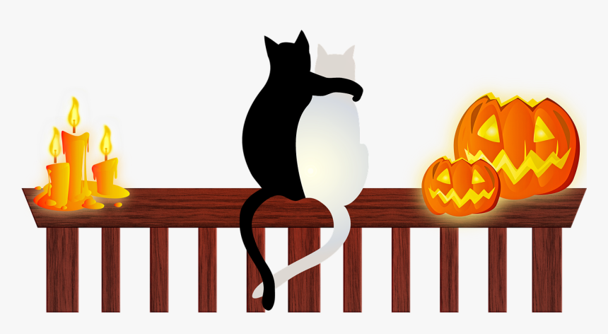 Halloween Cats Halloween Candle Halloween Free Photo - Halloween Cats, HD Png Download