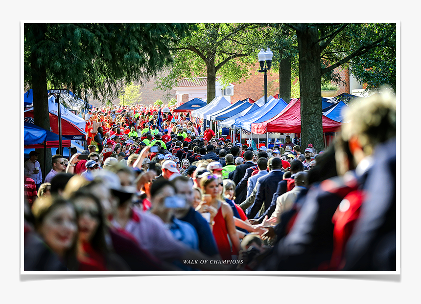 Ole Miss Rebels - Crowd, HD Png Download