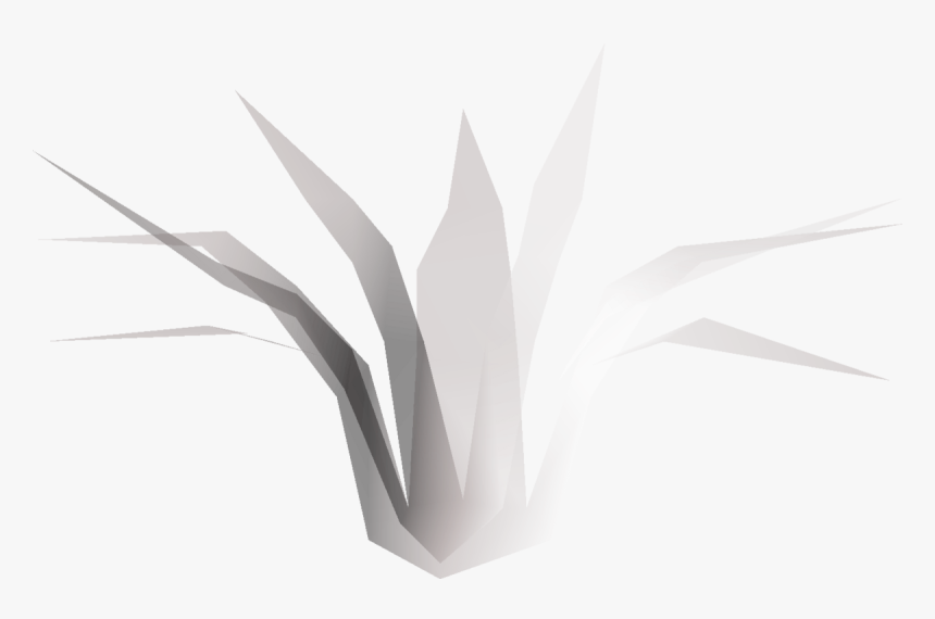 Agave Azul, HD Png Download