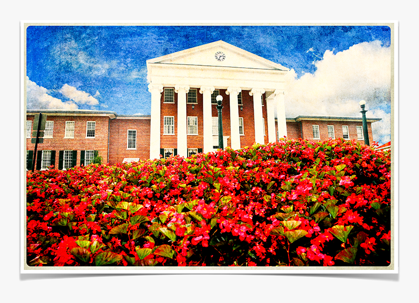 Ole Miss Rebels - Visual Arts, HD Png Download