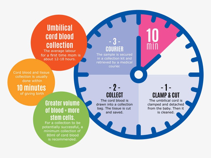 Qibla Direction From Dhaka, HD Png Download