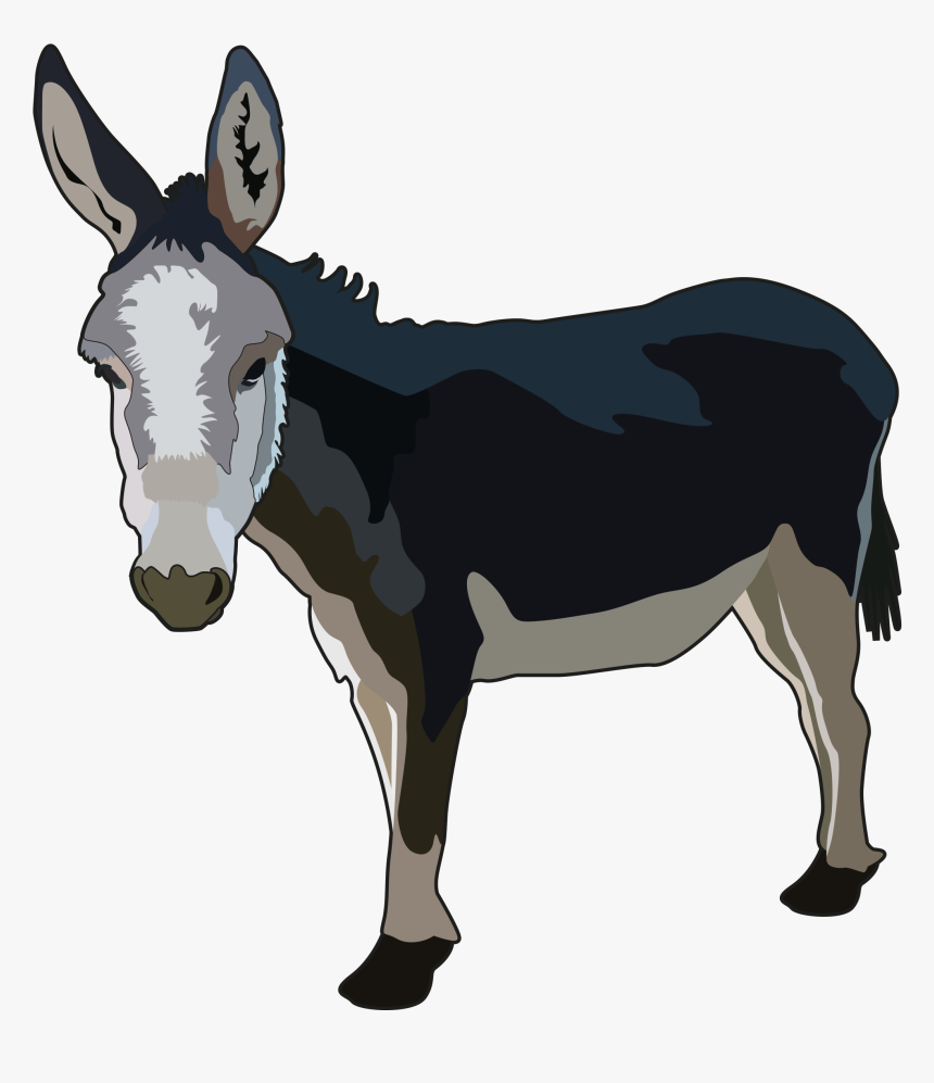 Burrito De Ciencias Png, Transparent Png