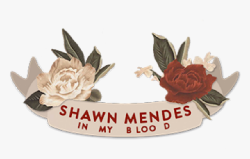 Inmyblood Shawnmendes In My Blood Shawn Mendes In My Blood Png Transparent Png Transparent Png Image Pngitem