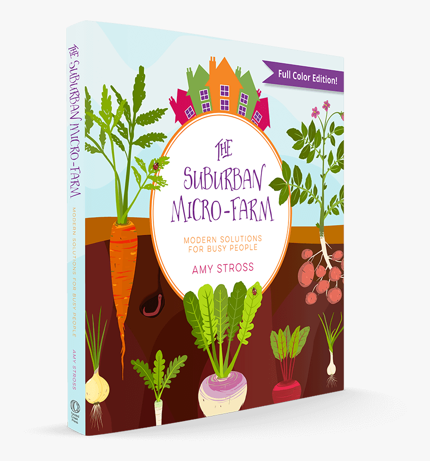 Tenth Acre Farm Owner Amy Stross Shows How To Get The - Impatiens, HD Png Download