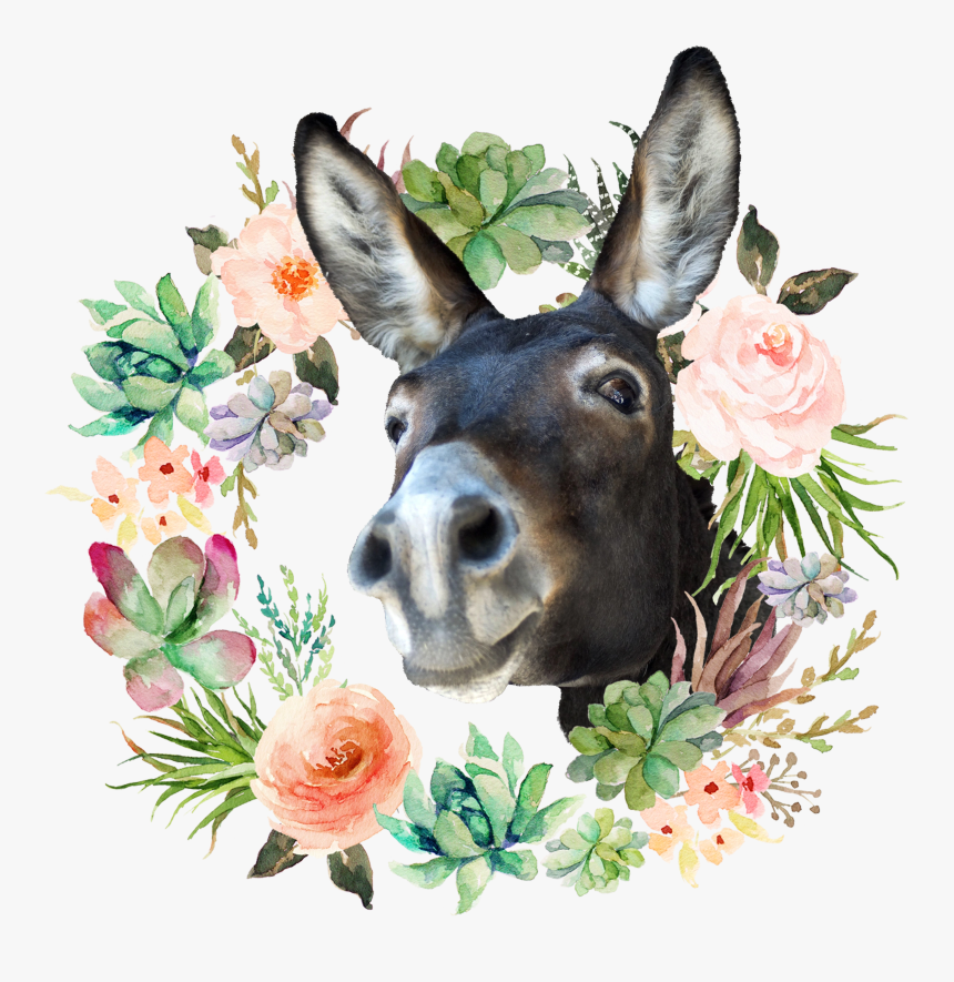 Coroa De Flores Png, Transparent Png