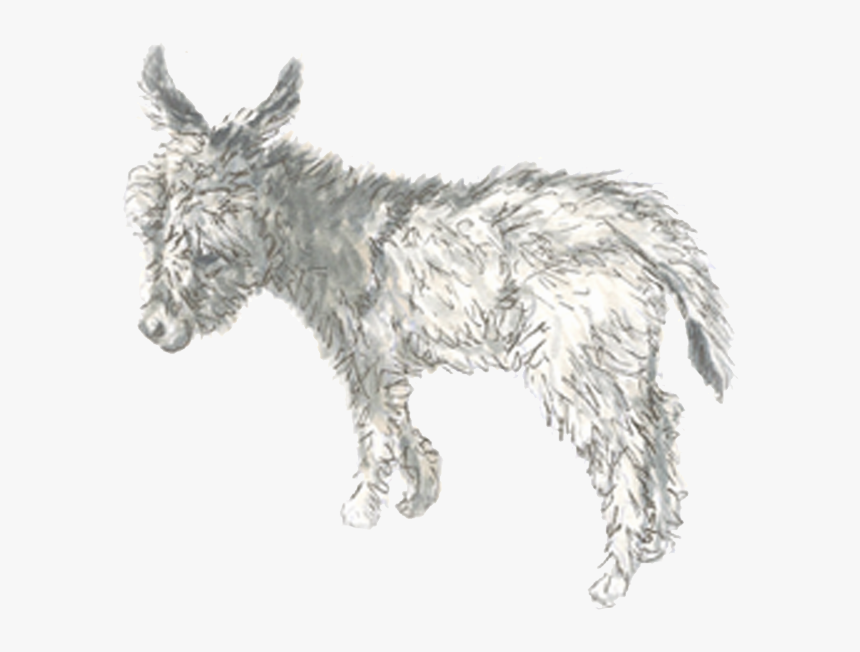 Drawn Donkey Burro - Burro, HD Png Download
