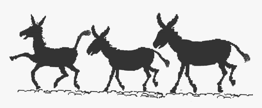 Mule Donkey Foal Mustang Animal-assisted Therapy - Illustration, HD Png Download