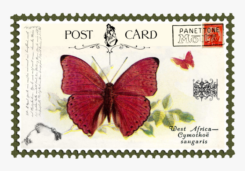 Juno Vintage Butterfly Postage Stamp 5 Mat - Fauna Kupu Kupu Perangko, HD Png Download