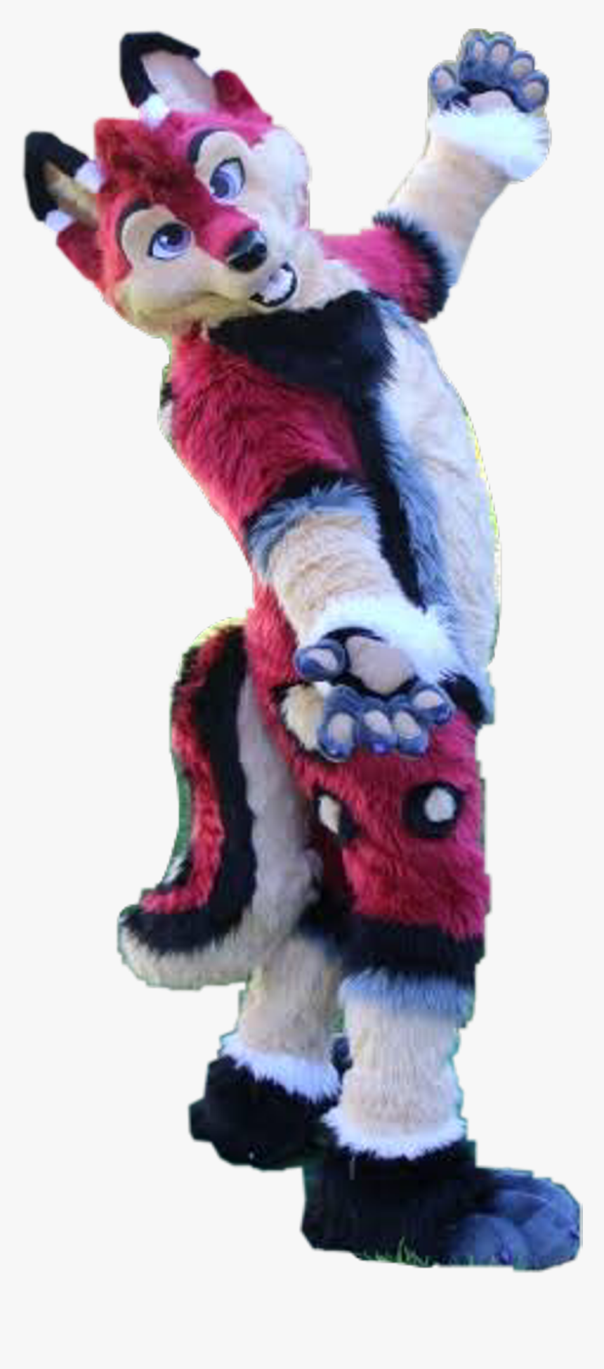 #bookerfox #furries #fursuit #fursona #furry #furryfandom - Fursuit White Background, HD Png Download