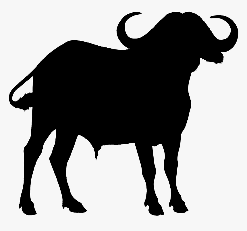 Vector Graphics Clip Art Image Royalty-free Illustration - Water Buffalo Silhouette Clipart, HD Png Download