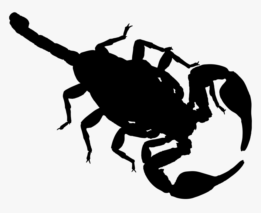 Gymnast Clipart Scorpion - Scorpion Silhouette Png, Transparent Png