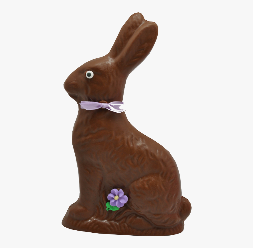 Domestic Rabbit, HD Png Download