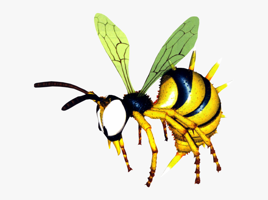 Donkey Kong Country Png, Transparent Png