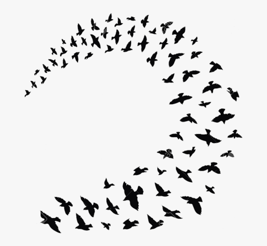 Flock Bird Columbidae Clip Art Silhouette - Mary Poppins Birds Black And White, HD Png Download