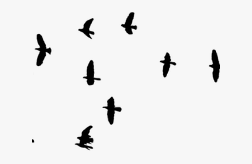 Birds Nest Clipart Silhouette Bird - Flock Of Birds Transparent, HD Png Download