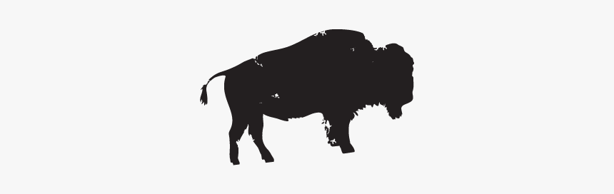 Bull, HD Png Download