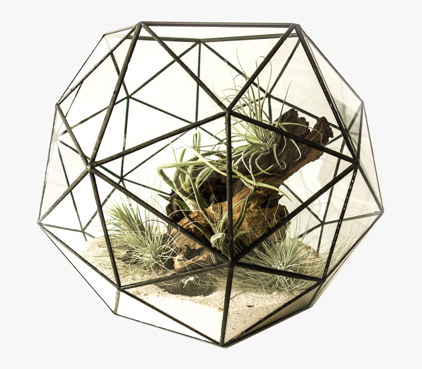 Transparent Octogon Png - Floral Design, Png Download