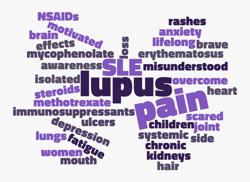 Michelle Obama Racist, HD Png Download