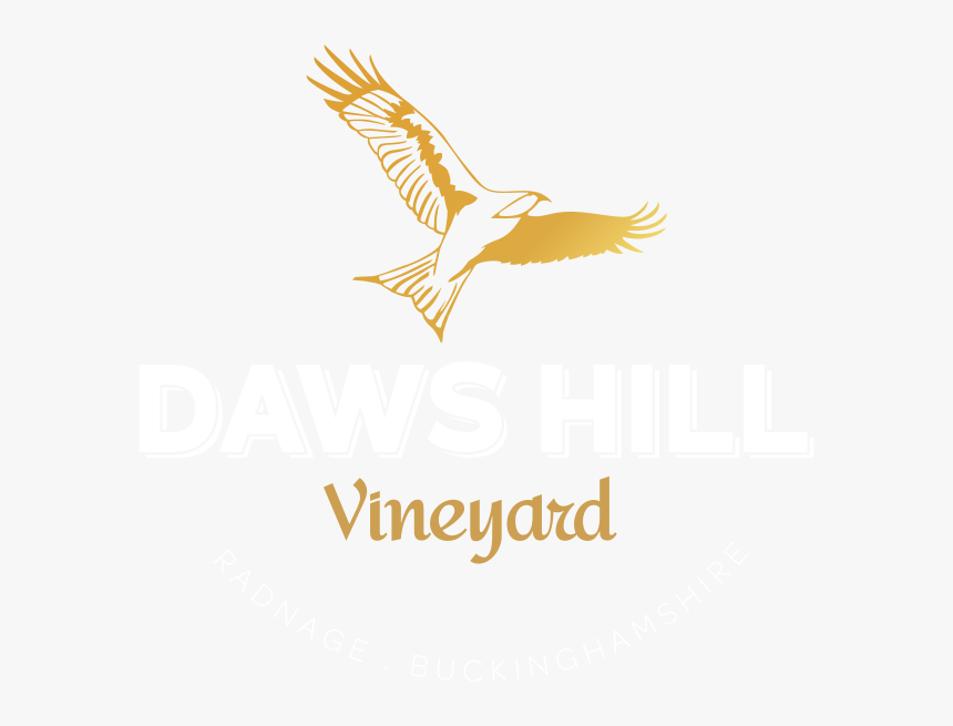 Transparent Vineyard Vines Png - Hawk, Png Download