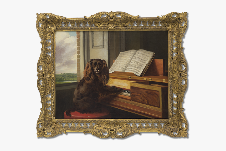 Portrait Of An Extraordinary Musical Dog, HD Png Download