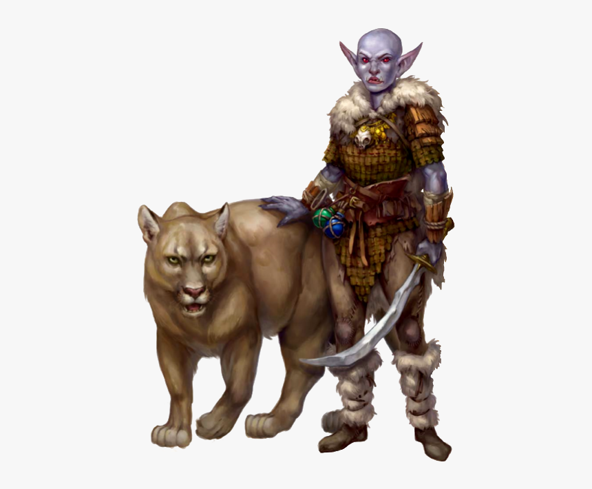 Dnd Hobgoblin Druid, HD Png Download