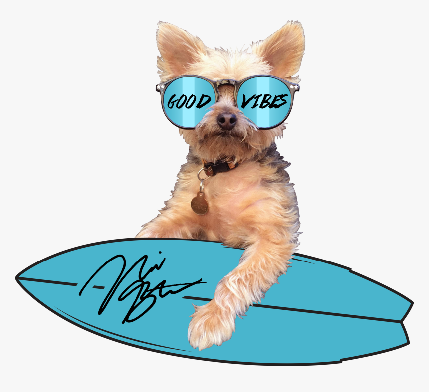 Dog Catches Something, HD Png Download