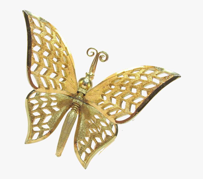 Transparent Gold Butterflies Png - Papilio Machaon, Png Download