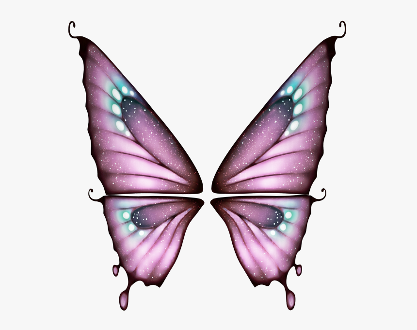 Clipart Butterflies Butterfly Clip Art, Butterflies, - Swallowtail Butterfly, HD Png Download