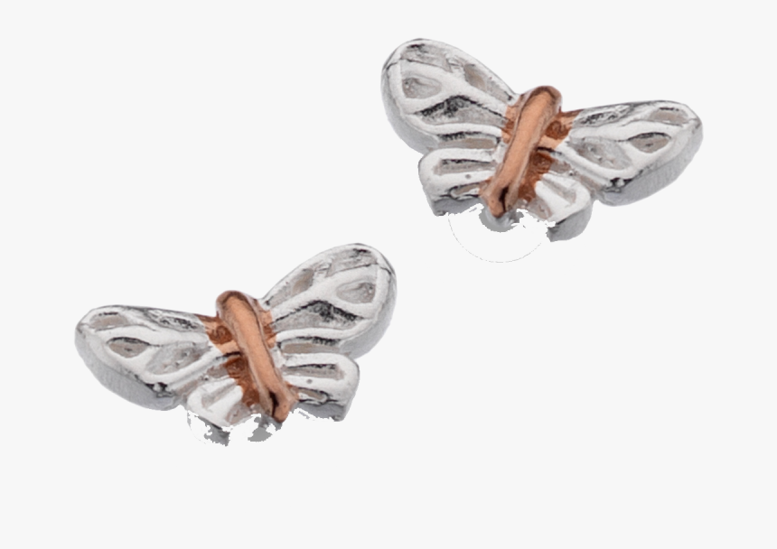 Silver Butterfly Studs With Rose Gold By Sea Gems - Zebra Swallowtail, HD Png Download