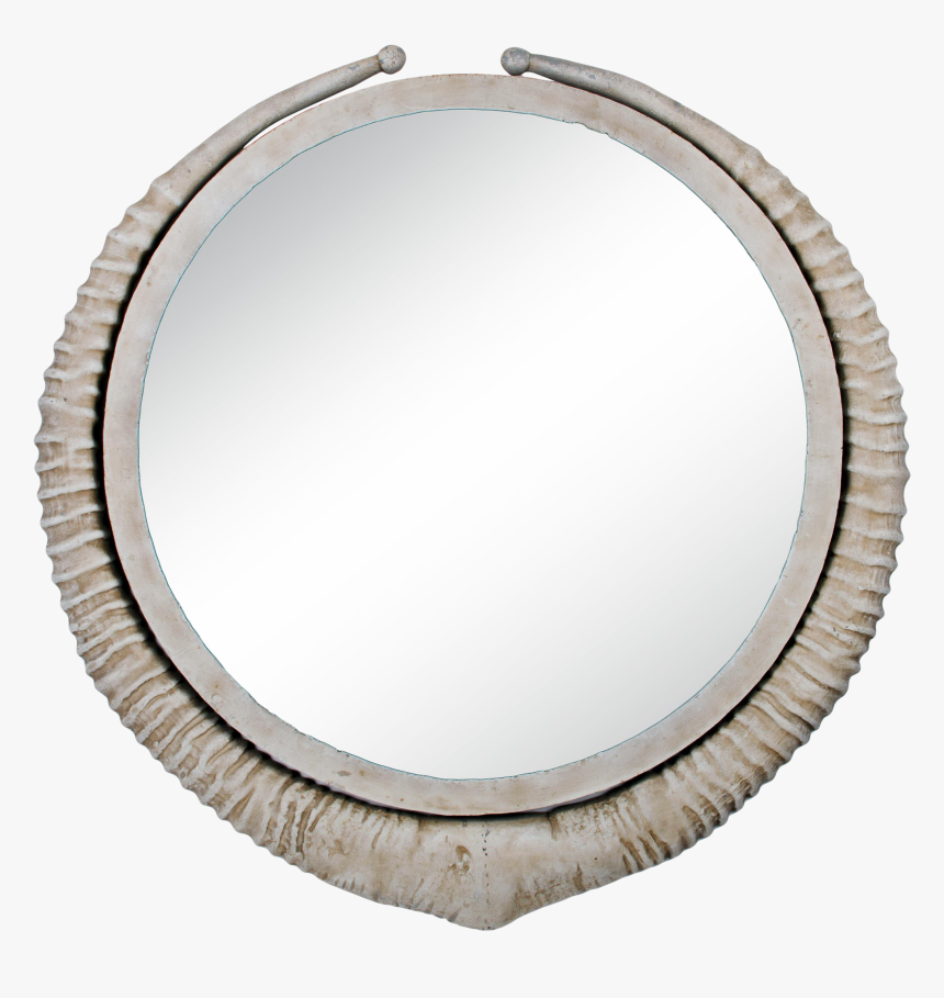 Transparent Vintage Antler Clipart - Circle, HD Png Download