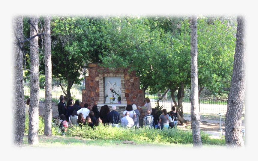 Tree, HD Png Download