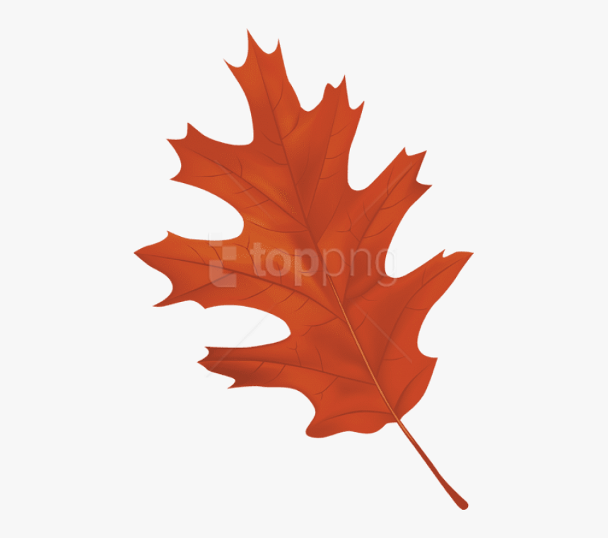 Free Png Download Brown Autumn Leaf Clipart Png Photo - Autumn Leaf Png Clipart, Transparent Png