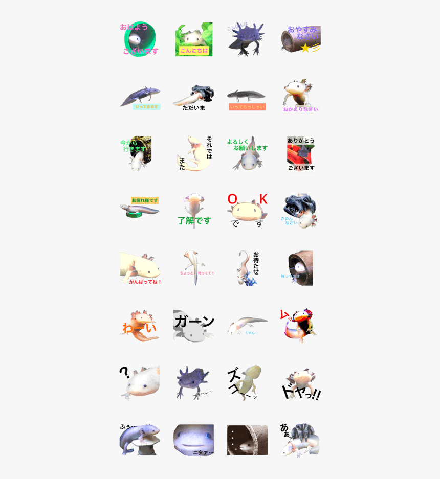 Axolotl, HD Png Download