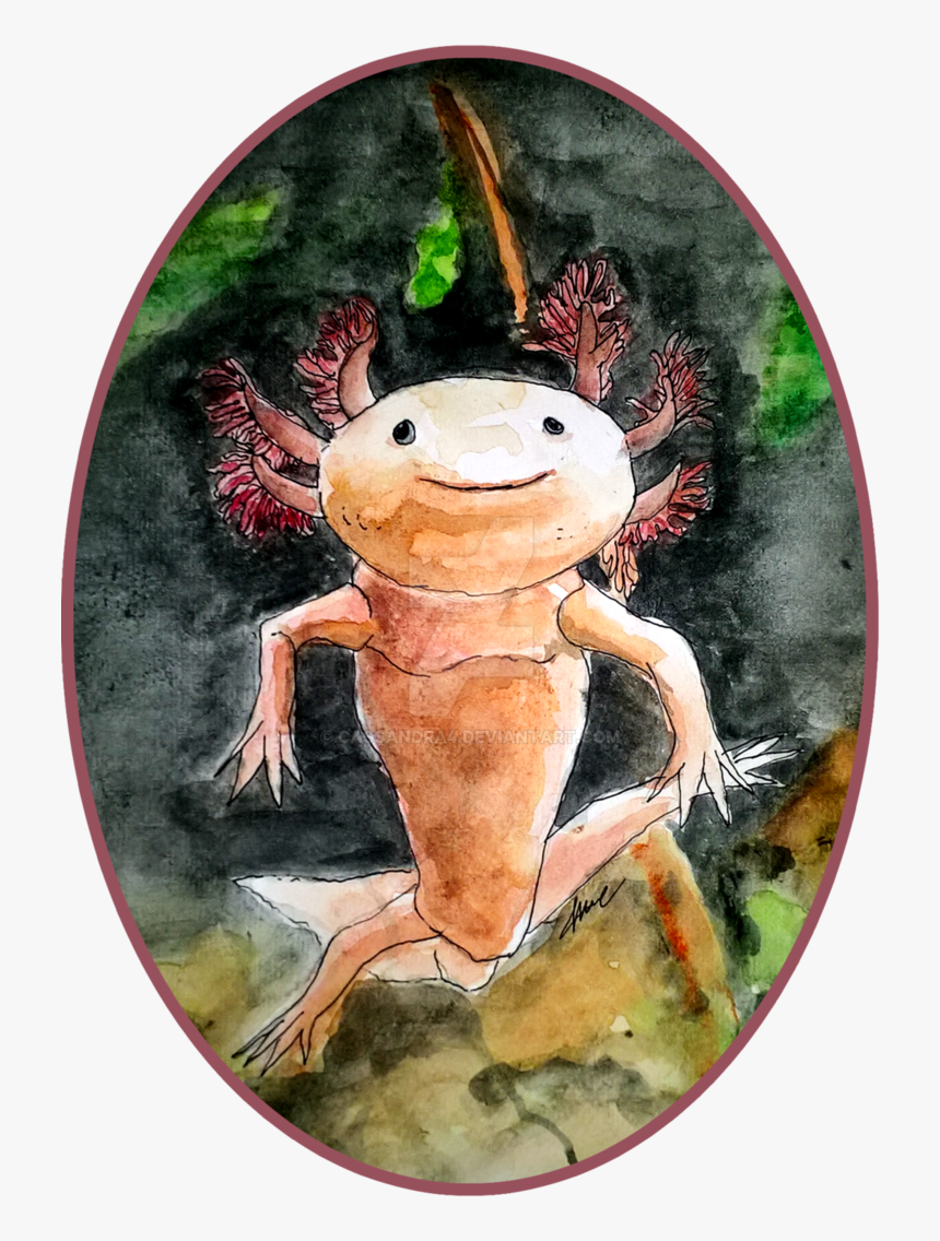 Axolotl, HD Png Download
