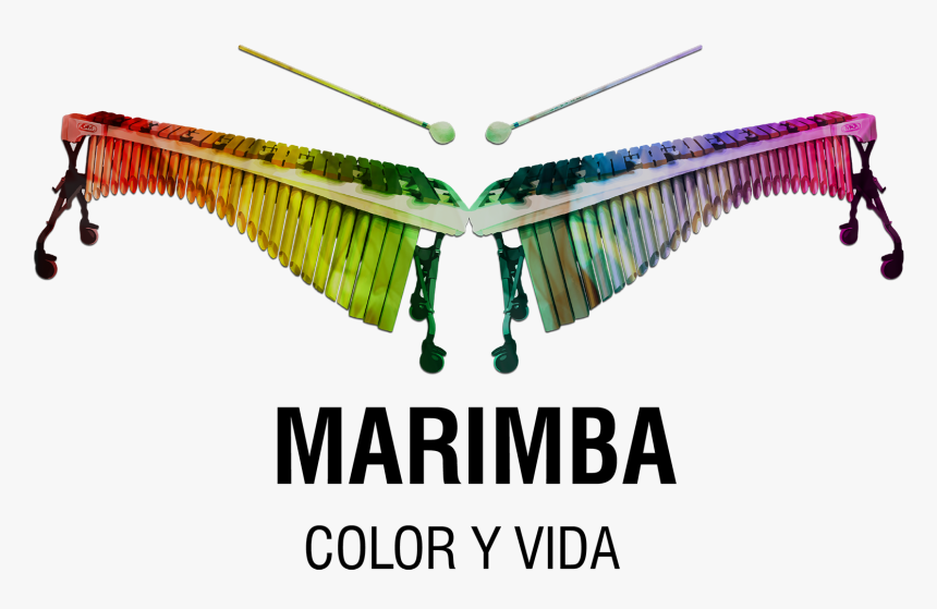 Chonta Ilustraci N Pinterest - Insect, HD Png Download