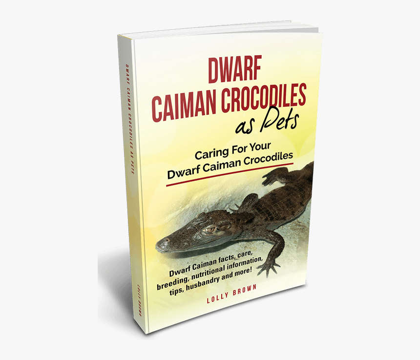 Axolotl, More Books, Axolotl - Stade Des Alpes, HD Png Download