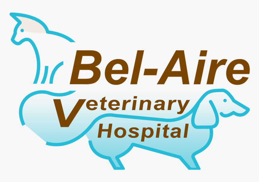 Logo - Oosterlicht College, HD Png Download