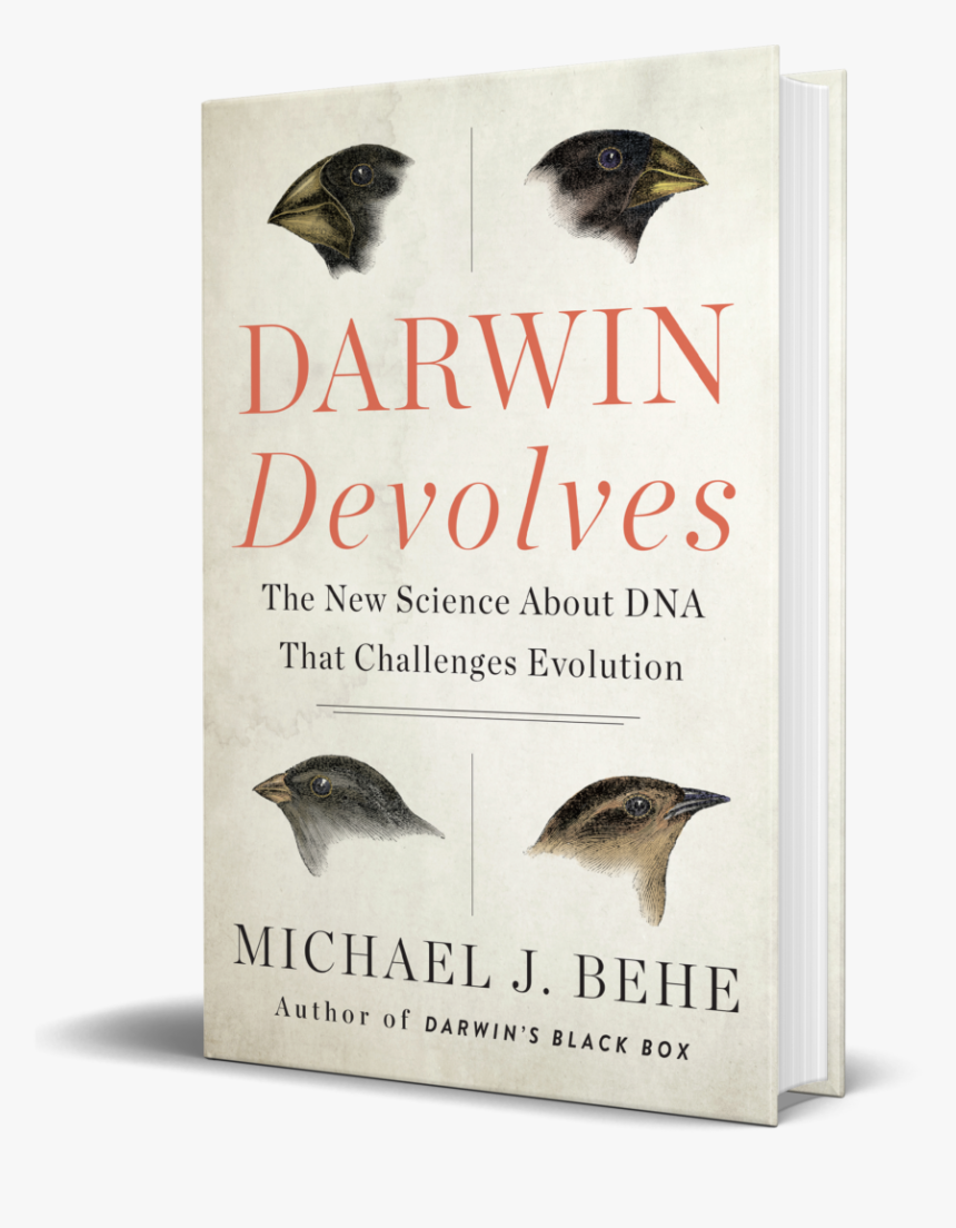 Michael Behe Darwin Devolves, HD Png Download