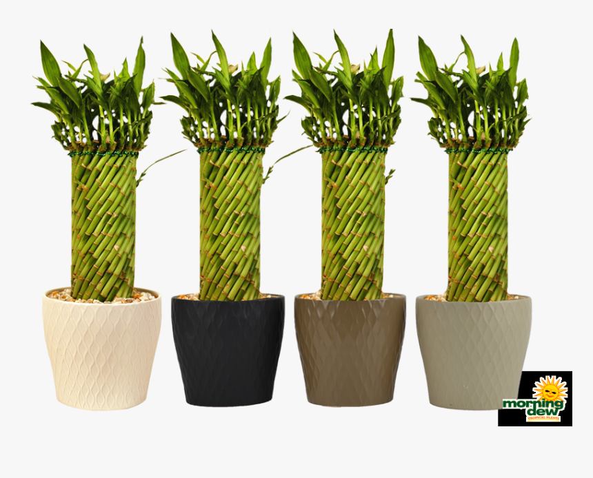 Flowerpot, HD Png Download