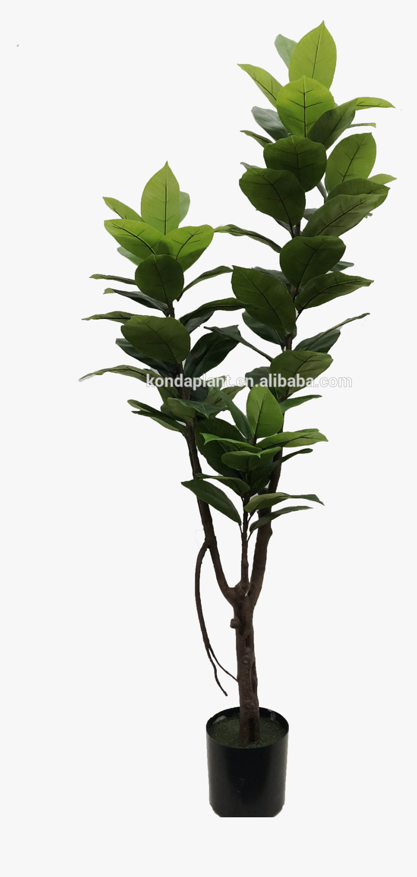 Flowerpot, HD Png Download