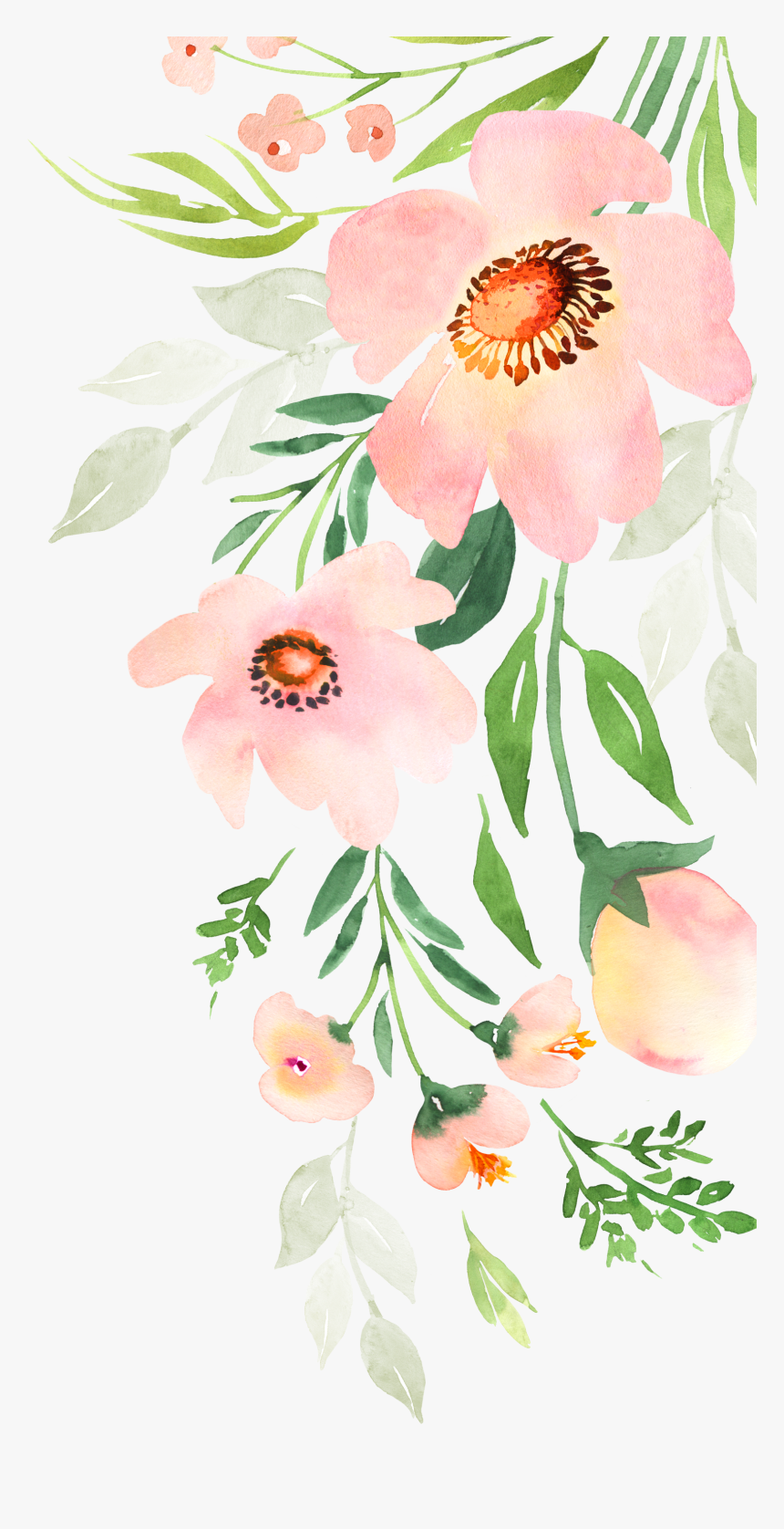 Rosa Rubiginosa, HD Png Download