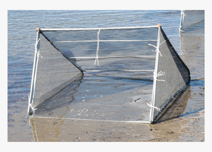 Fishfighter Net Collapsible - Sea, HD Png Download